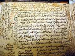 ى334