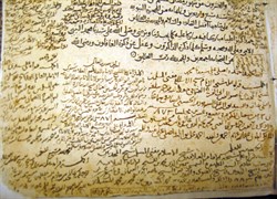 ى337